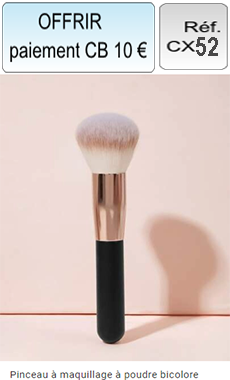 Réf: CX52 Pinceau de maquillage à poudre bicolore